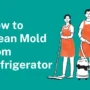 How to Clean Mold from Refrigerator