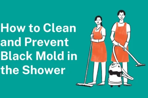 How to Clean and Prevent Black Mold in the Shower