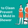 How to Clean and Prevent Black Mold in the Shower
