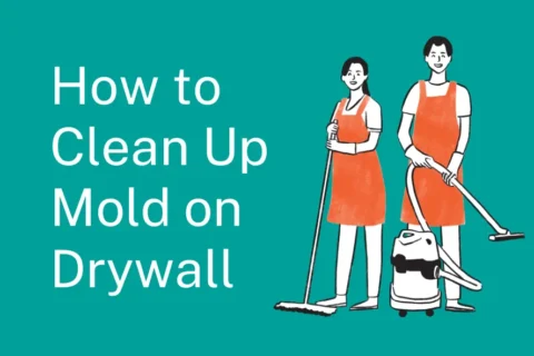 How to Clean Up Mold on Drywall