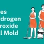 Does Hydrogen Peroxide Kill Mold? A Complete Guide to Safe Mold Removal