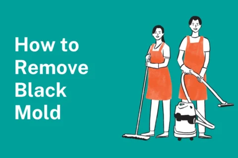 How to Remove Black Mold: A Simple, Human Guide to Getting Rid of It for Good
