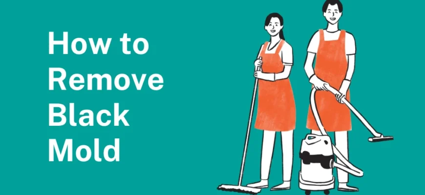 How to Remove Black Mold: A Simple, Human Guide to Getting Rid of It for Good