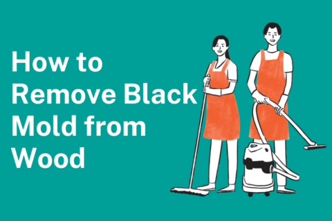 How to Remove Black Mold from Wood