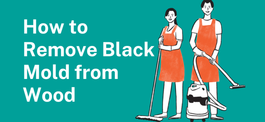 How to Remove Black Mold from Wood