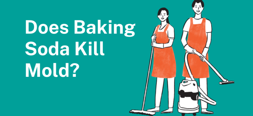 Does Baking Soda Kill Mold? A Complete Guide