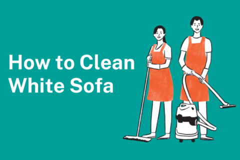 How to clean White sofa