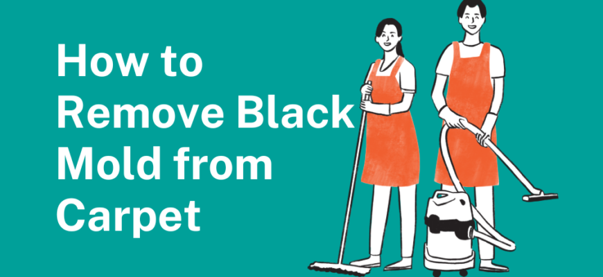 How to Remove Black Mold from Carpet​