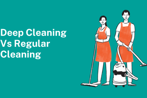 Deep Cleaning vs. Regular Cleaning: What Do Redwood City Homes Really Need?